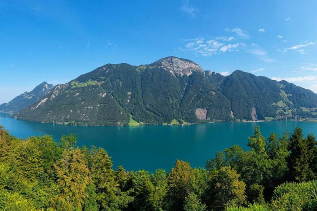 Exklusives Chalet Mit Traumhafter See- Und Bergsicht Seelisberg Ngoại thất bức ảnh